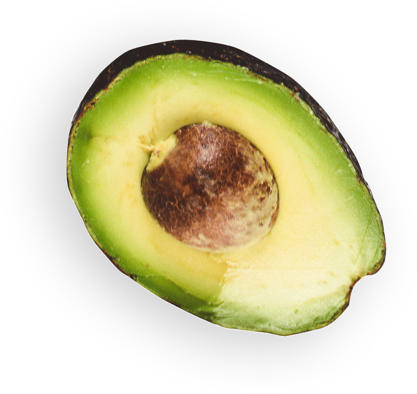 Avocado