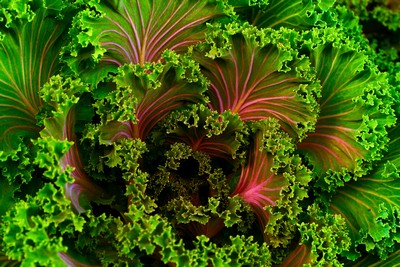 fresh vegetable delivery service in hong kong