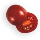 fresh tomatoes