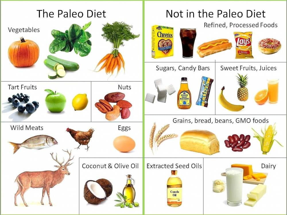 what-is-the-paleo-diet-eatology-healthy-tasty-meal-plan-delivery